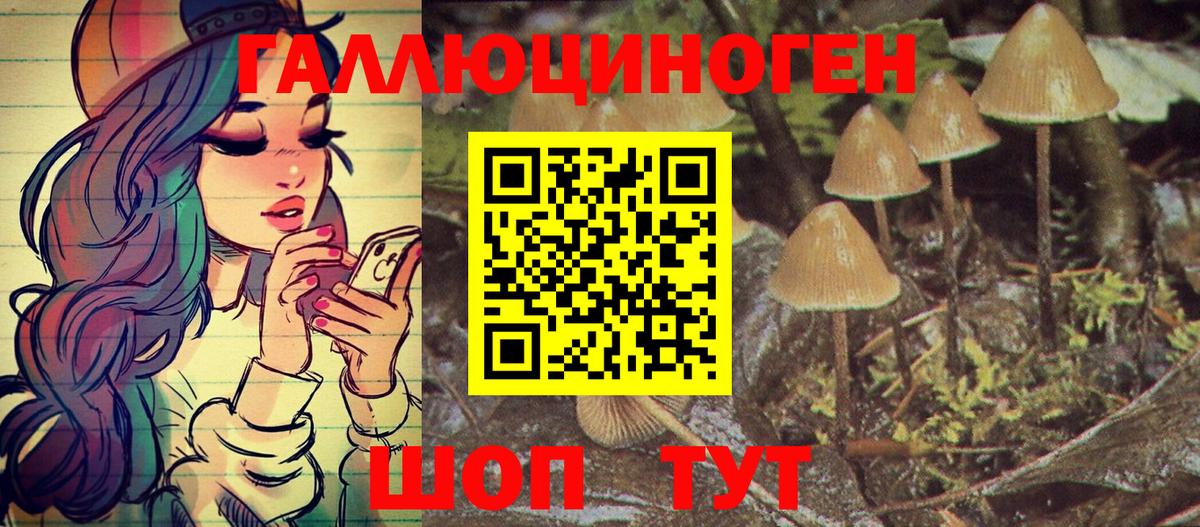 Псилоцибиновые грибы Psilocybine cubensis Краснокаменск